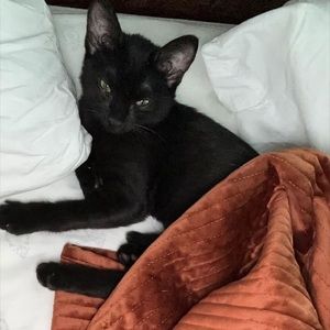 Meet your Posher, Barbara